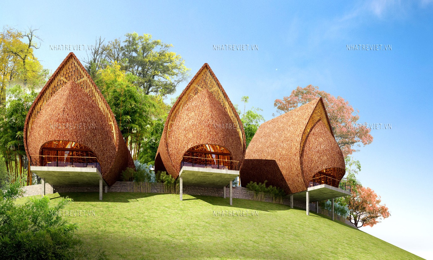 Bungalow búp Hồng 9-10