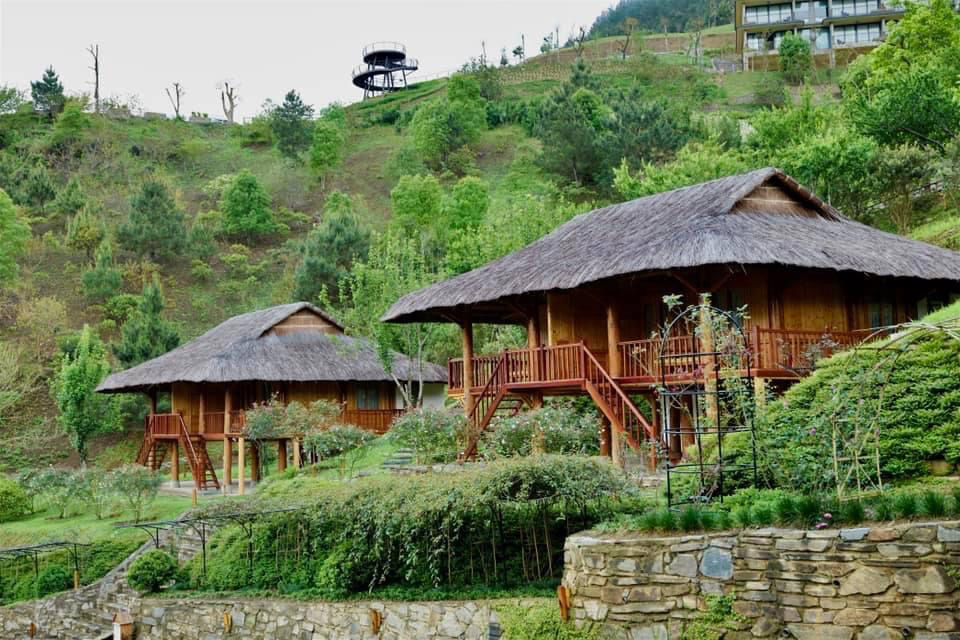 Villa nhà gỗ-2 phòng ngủ